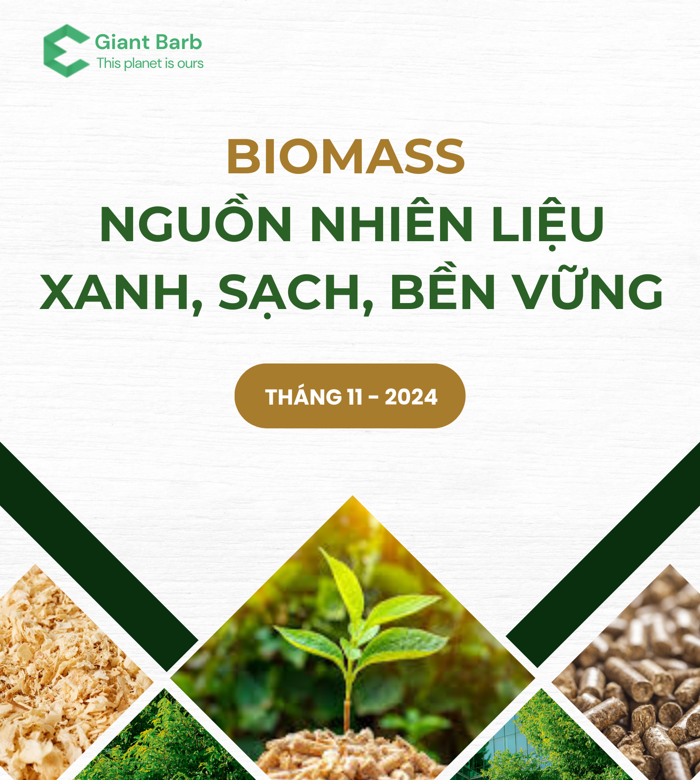 Biomass - Nguồn nhiên liệu Xanh, Sạch, Bền Vững